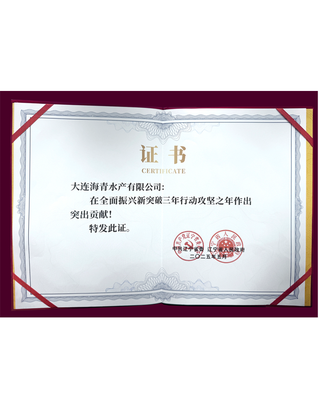 辽宁省三年行动攻坚之年突出贡献奖